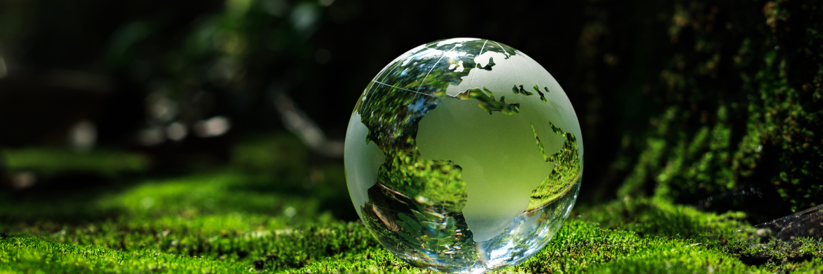 Primespeakers - Agencja Mówców | Wdrażanie strategii ESG: W jaki sposób możemy wesprzeć Twoją firmę?